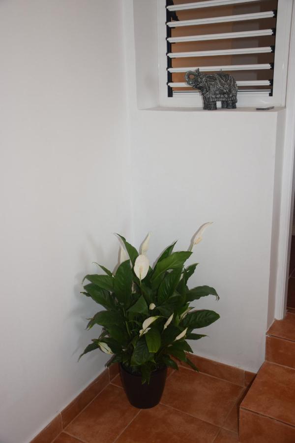 Garoé Acogedor Apartamento Araya  Exterior foto